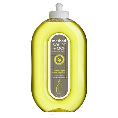 Preisvergleich Produktbild Verfahren Spritzen Und Mop Bodenreiniger Zitrone Ingwer (739Ml)