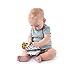 Baby Einstein Shapes and Numbers Discovery Cards