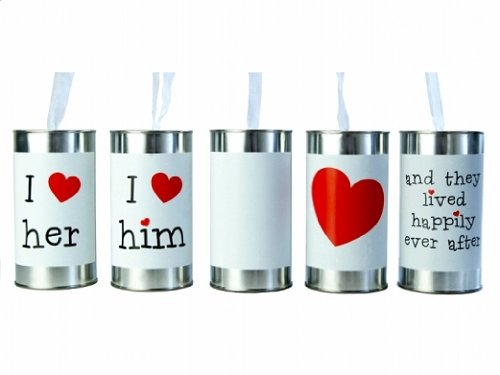 5 Hochzeitsdosen - laut & schön für Ihr Hochzeitsauto Autoschmuck Hochzeitsdekoration - Blechdosen silber mit Band 4 x bedruckt 1 x blanko zum selbstbeschriften