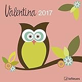 Valentina 2017 EU - Broschürenkalender, Wandkalender, Grafikkalender Eulen - 30 x 30 cm by 