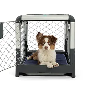 Diggs Revol Dog Crate (Collapsible Dog Crate, Portable Dog Crate, Travel Dog Crate, Dog Kennel) for Medium Dogs and Puppies