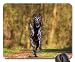 Produktbild Mauspads - Hirte-Aktionshund Tierhund spielt Haustier-Fotografie