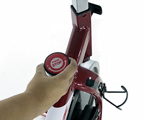 BH Fitness SB1.4 H9158 Indoorbike Indoorcycling, 18 kg Schwunggewicht - 7