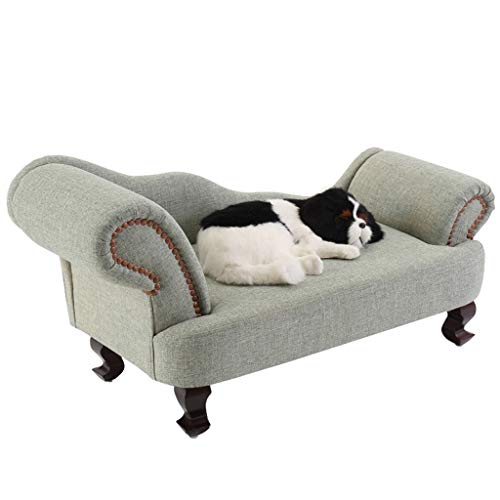 Canapé Orthopédique Chien