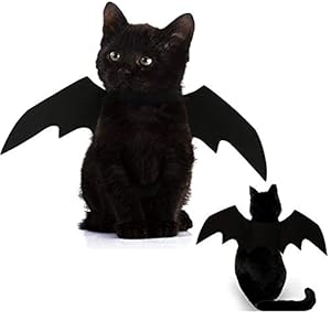 Glodenbridge – Disfraz de Perro, diseño de alas de Vampiro, para Halloween, Disfraz, Vestido, Traje, Bate, alas, Gatos, Perros con Circunferencia de Cuello de 24 – 36 cm, Busto de 36 – 42 cm