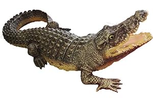 ‎ASPINAWORLD Aspinaworld wetterfeste Gartenfigur für außen, große Krokodil Figur mit offenem Maul, 90 cm, Dekofigur Garten, Gartendeko aus Kunstharz