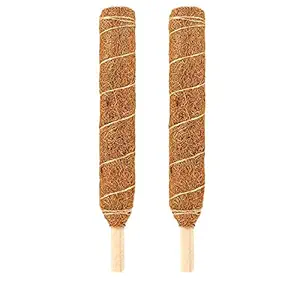 LIVEONCE Coco Pole -Moss and Coir Stick for Indoor, House and Plant Creepers Support 3 FEET -Pack of 2 -Color -Natural