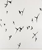 Image de Minutes to Midnight