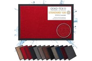 Carpet Diem Zerbino 40 x 60 cm - Tappeto ingresso antisporco - Interno ed Zerbino da Esterno, Tappetino antiscivolo per Porta, Tappeto antisporco per Porta d Ingresso - Rosso