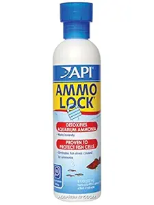 API Ammo Lock | 237 ml | Happy Fins