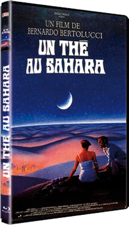 couverture de : Un Th&eacute; au Sahara
