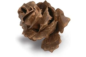 Sizzix Bigz Fustella, Jumbo Pigna Lacera, Acciaio Inossidabile, Bianco, 1.9x14x17.39 cm