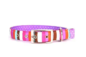 Yellow Dog Design Uptown Collar, Extra Large, Multi-Stripe on Purple Polka, Small Dots