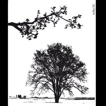Clear stamp set Tree and branch