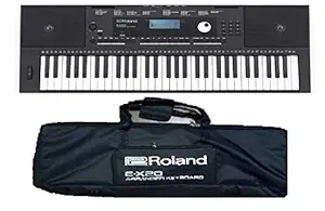 Roland E-X20 Arranger Keyboard with Carry Bag