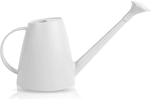 Bncxdc Modern Watering Can Small, Indoor Plant Watering Can, 1800ML Long Spout Easy Pour Watering Can with Removable Shower Head Small Watering Pot for Indoor Outdoor Plants Garden Flower Bonsai