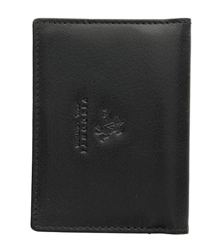 Visconti Leather Oyster Card / Travel Pass Holder TC1TC Black