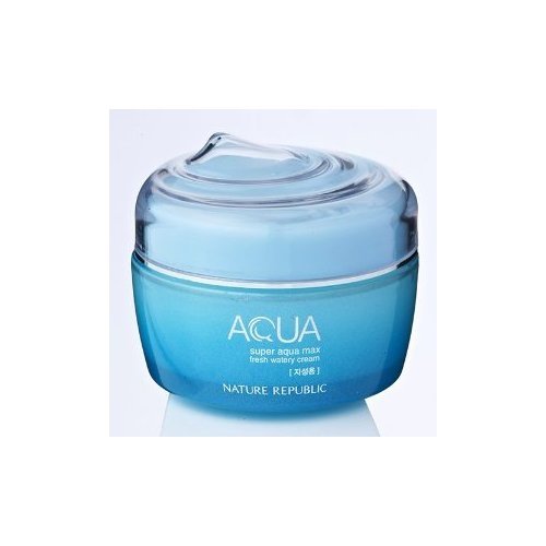 Nature Republic Super Aqua Max Fresh Watery Cream 80ml for oily skin type