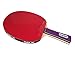 Price comparison product image Custom Table Tennis Purple Patch Allround Bat + Case + Protectors