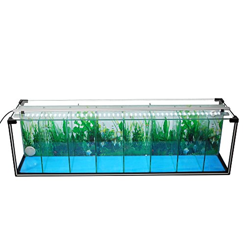Preisvergleich Produktbild Komplettset Aquarium Zucht-Becken Betta 38 L, Garnelen-, Aufzucht-, Kampffisch-Aquarium inkl. LED-Lampe,Luftpumpe, Heizstab