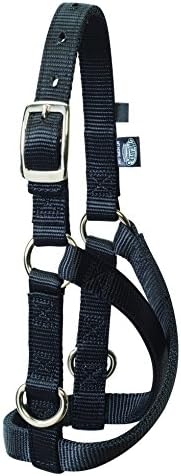 Weaver Leather Livestock Sheep and Goat Treadmill Halter, Black, Small