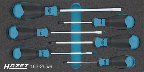 Hazet Schraubendreher-Satz, 163-265/6