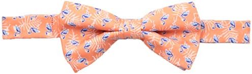 American Lifestyle Men's Flamingos Bowtie, Coral, One Size