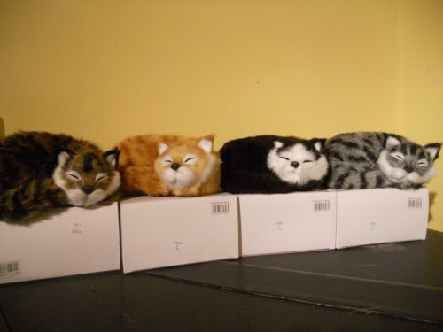 R LANG Cat with sound