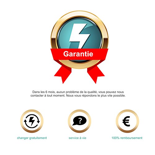 ICHECKEY Batterie pour iphone 5s 5c de Lithium-ION en Set Batterie Rechargeable Haut capacit   Kit d outils Compatible Avez iPhone 5s 5c Outils  Manue