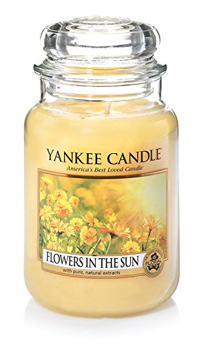 Preisvergleich Produktbild Yankee Candle warme Sommernächte 2016, L