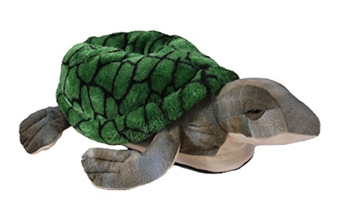 « Click to Enlarge and to go to Amazon »