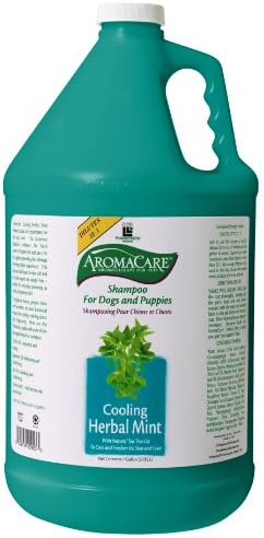 PPP Aromacare Herbal Mint Shampoo, 3.8 Litre