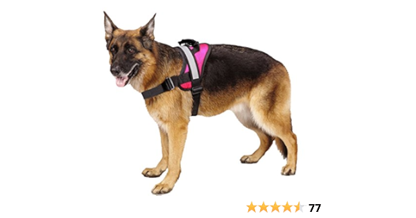 expawlorer harness