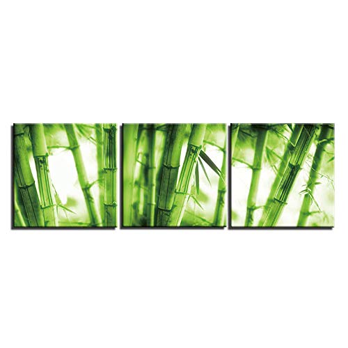 Wwjwf 3 Piezas De Pintura De Arte De Pared De Bambú Verde Sobre Lienzo Decoración Del Hogar Ilustraciones De Lienzo Cuadros De Lienzo Populares Para Sala De Estar 50X50Cmx3 Sin Marco