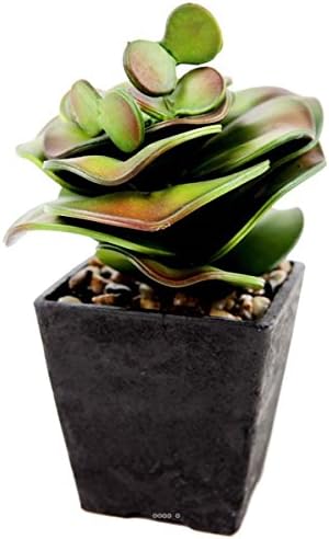 Artificial Cactus – cactée Elephant Pot Chocolate and Pebble Finish H 24 cm