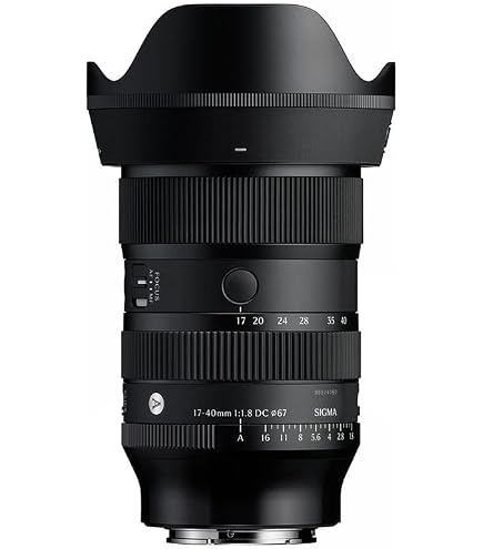Sigma 17-50mm F/2.8 EX DC OS HSM Zoom Lens for Nikon DSLR Camera
