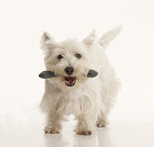 Pet-Ego-Bonofloss-Chew-Toy-Small-OrangeP