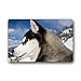 Produktbild XIEXING Water Absorption Reactive Dyeing Durability Doormat Non-Slip Rubber Backing Durable Indoor Outdoor Doormat Door Mats Sleepy Husky Different Eyes Funny Head Close Up Dog Design