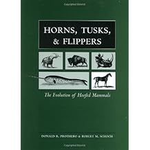 Sedimentary Geology Prothero Ebook Sedimentary Geology Prothero Ebook