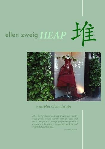 Preisvergleich Produktbild a surplus of landscape by Leslie Thornton