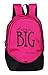 Pole Star BIG 3 Compartment Polyester 36 Lt Pink Laptop Travel Casual Backpack school bag RS.699.00