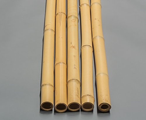 Bambusrohr Moso 100cm gelb Durch. 3,8 bis 5cm, gebleicht – Bambusrohre, Rohre aus Bambus, Bambus Rohre Bambusrohr –> großes Sortiment an Sichtschutz, Bambus, Schilf und Naturprodukte für Garten - 3