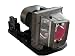 Produktbild PHROG7 Ersatzlampe mit Gehäuse für INFOCUS SP-LAMP-037 - INFOCUS T150, X15, X20, X21, X6, X7, X9, X9C
