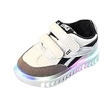 onitsuka zumba volleyball angebot blinkend teenager einlegesohle babylight air umbro led stoff weise on luftpolster champion he ys etnies schlüpfen qu v slip z laufschuhe neutral zoot luftkissen brooks glycerin efant spikes ultra boost ultraboost cloud trail pronationsstütze zante unterpronation 2e zehenschuhe flux innen verstärkt vorderfuß cross triathlon zero drop kg schwere läufer straßenlaufschuhe laufband joggen running crown camo plat uß dämpfung quest