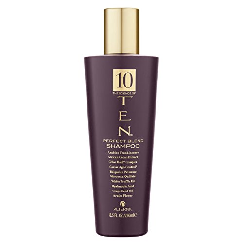 Preisvergleich Produktbild TEN SHAMPOO 250 ML ORIGINAL