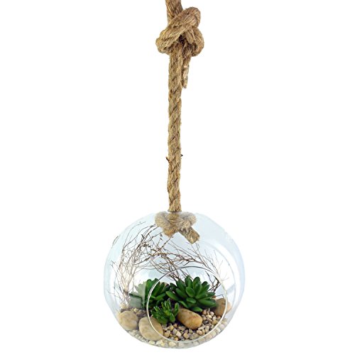 XXL Glaskugel Vase zum aufhängen und Dekorieren mit Pflanzen oder Sukkulenten – Durchmesser 20 cm - 6