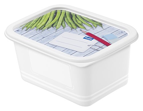 Rotho 1755210235 Gefrierdose Domino – Aromafeste Aufbewahrungsbox mit beschreibbarem Deckel – 4er Set Vorratsdose BPA-frei – Reinigung der Gefrierdose in der Spülmaschine – 0.75 l Inhalt pro Gefrierbox – weiss - 2