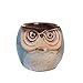 Produktbild Eule Blumentopf Mini Keramik von Sukkulente Pflanzgefäßen fleischiger Pflanzen klein Keramik Vase Home/Garten
