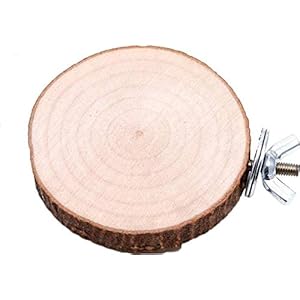 ivebetter Parrot Platform, Parrot Wood Stand Round Birds Perch Parrot Paw Grinding Toy Accesorios 1PCS