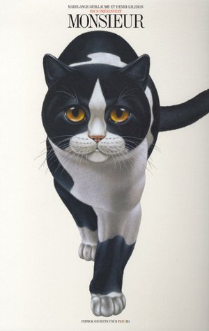 couverture de : Monsieur